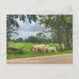 Isaan, Thailand"s Countryside Postcard
