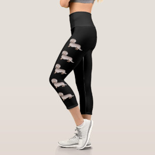 Isabella And Tan Long Hair Dachshund Cartoon Dogs Capri Leggings