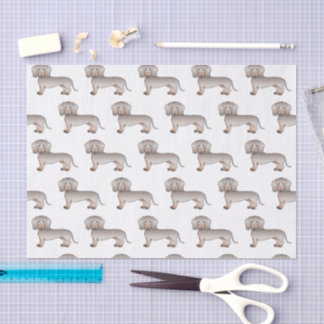 Isabella And Tan Smooth Coat Dachshund Dog Pattern Tissue Paper