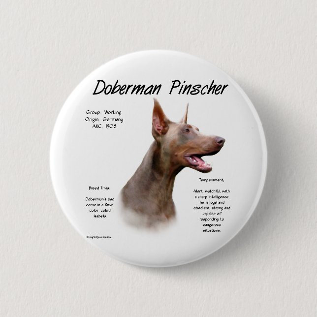 Isabella Doberman History  Button (Front)