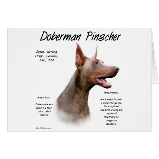 Isabella Doberman History  Cards (Front Horizontal)