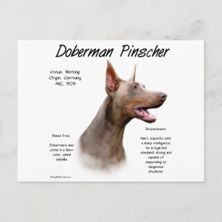 Isabella Doberman History Postcard