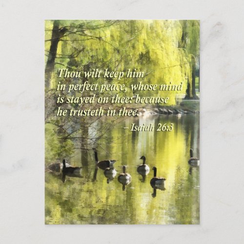 Isaiah 26_3 Thou wilt keep him in perfect peace Postcard