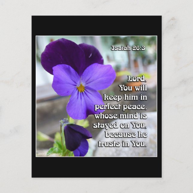 Isaiah 26v3 - Perfect Peace - Flower Flyer (Front)