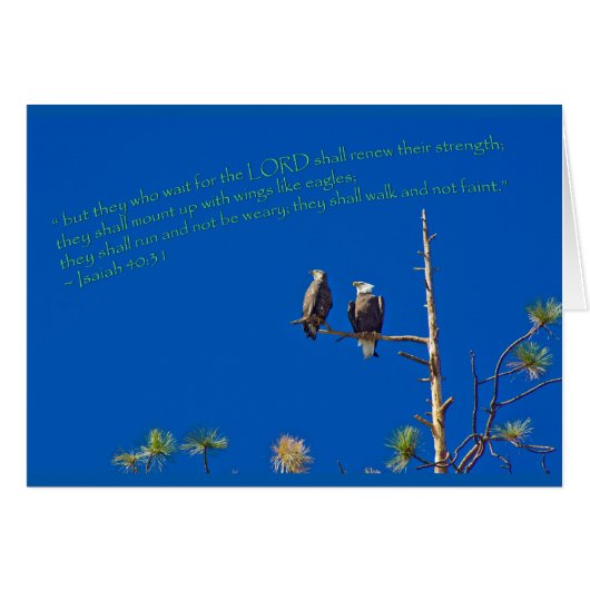 Isaiah 40:31 (Front Horizontal)