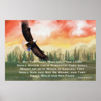 : Soar High On Wings Like Eagles Isaiah 40 31 Christian Bible T- Shirt : Clothing, Shoes & Jewelry