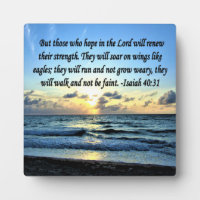 ISAIAH 40:31 BIBLE VERSE