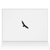 Isaiah 40:31 Eagle Soaring Courage verse Bible (Inside Horizontal (Top))