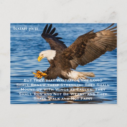 Isaiah 4031  Mount Up on Eagle Wings Postcard