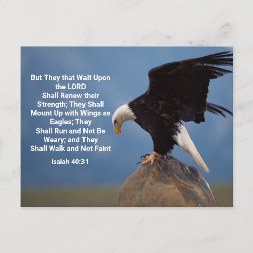 Isaiah 4031  Mount Up on Eagle Wings Postcard