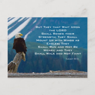 Isaiah 40:31 Mount Up on Eagle Wings Postcard