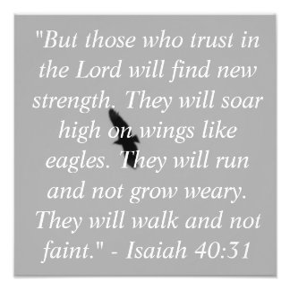 Isaiah 40:31 Photo Print