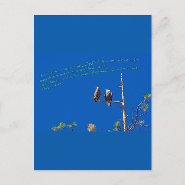 Isaiah 40:31 postcard (Front)