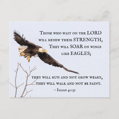 Isaiah 4031 Those who wait on the Lord Bible Postcard