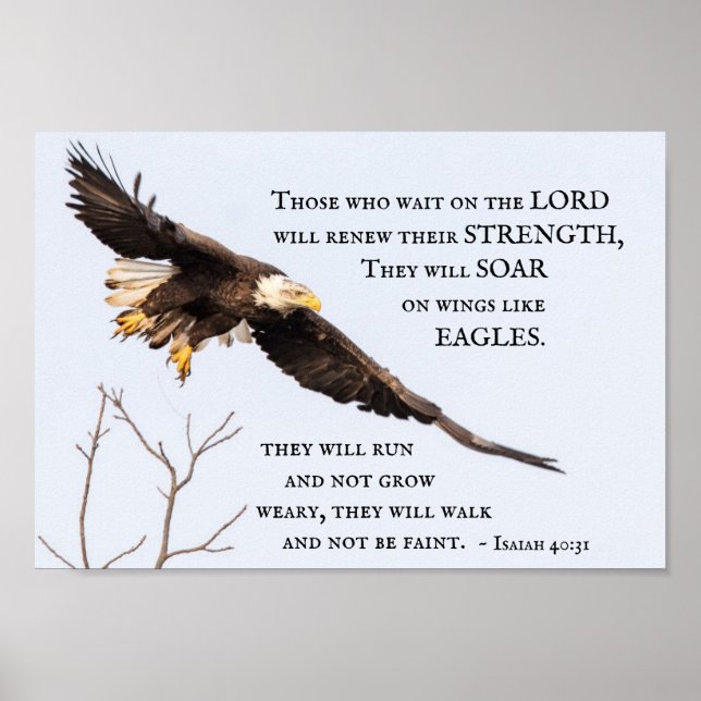 Isaiah 40:31 Those who wait on the Lord, Bible Poster (Front)