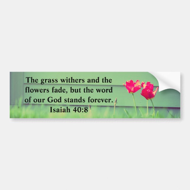 Isaiah 40:8 bumper sticker (Front)