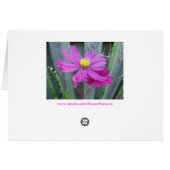 Isaiah 40:8, Grass & Flowers Cards (Back Horizontal)