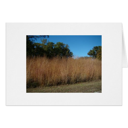 Isaiah 40:8, Grass & Flowers Cards (Front Horizontal)