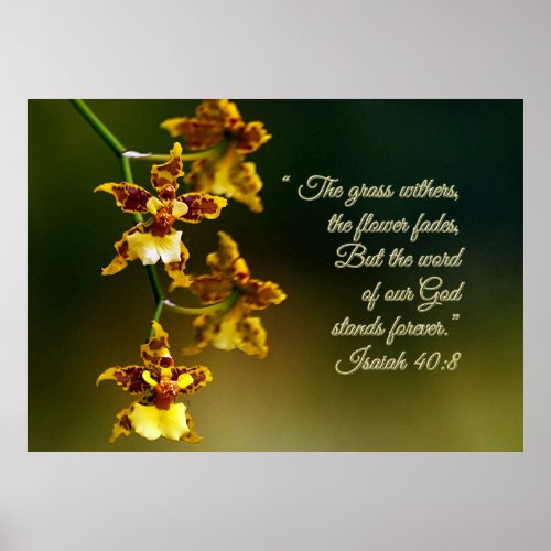 Isaiah 408 Inspirational Poster