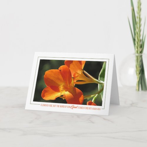 Isaiah 408 Orange Canna Lily Card