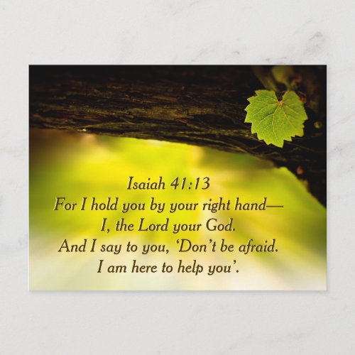 Isaiah 4113  I hold you by your right hand Bible Postcard