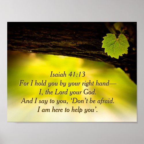 Isaiah 4113  I hold you by your right hand Bible Poster