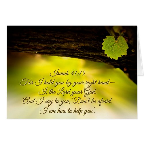 Isaiah 4113  I hold you by your right hand Card