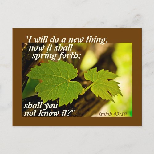 Isaiah 4319 Bible Verse I will do a new thing Postcard