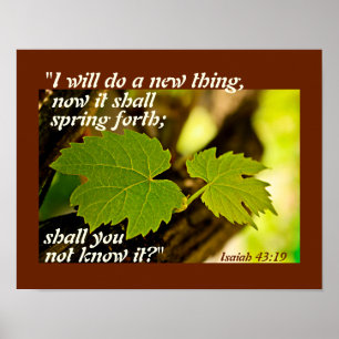 Isaiah 43:19 Bible Verse, I will do a new thing Poster