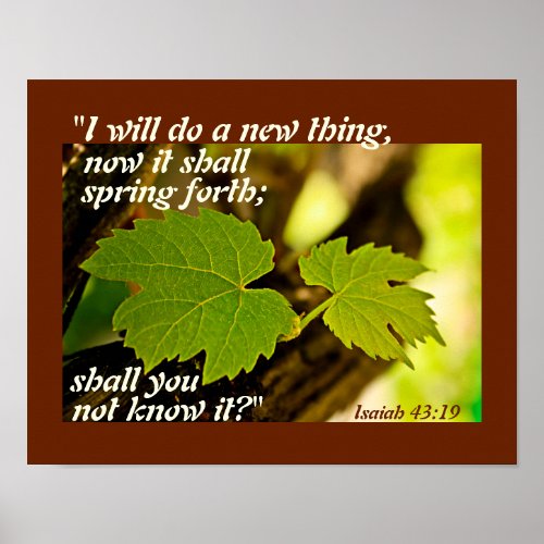 Isaiah 4319 Bible Verse I will do a new thing Poster