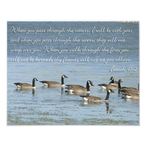 Isaiah 432 Bible Verse with Swimming Geese Photo Print