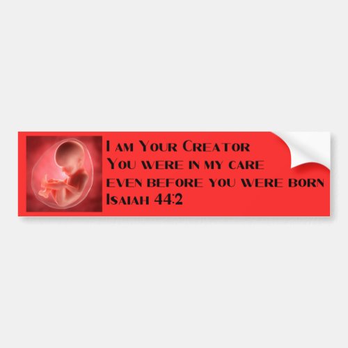 Isaiah 442 Pro Life Bumper Sticker