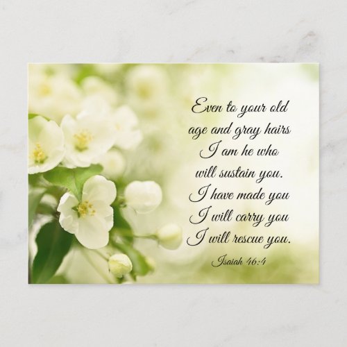 Isaiah 464 I am He who will sustain you Flowers Postcard