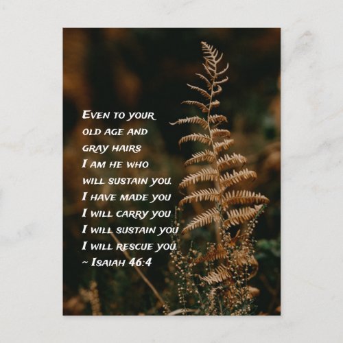Isaiah 464 I am He who will sustain you  Postcard
