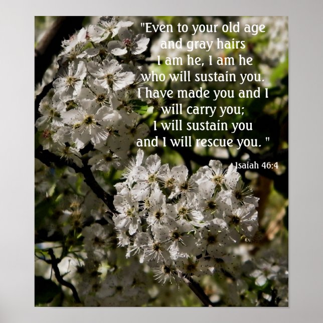 Isaiah 46:4 poster (Front)