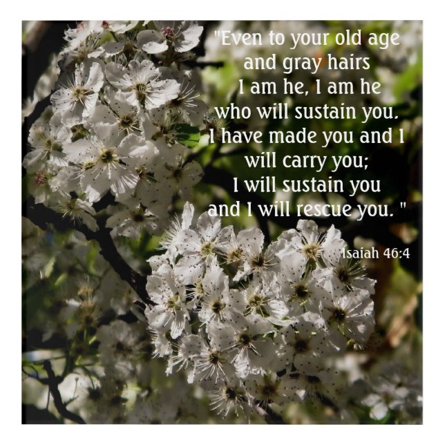 Isaiah 46:4 poster acrylic print (Front)