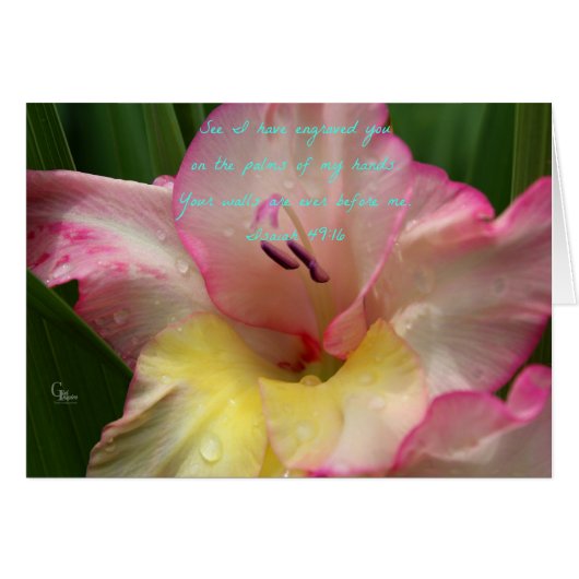 Isaiah 49:16 Pink Raindrop Gladiolus Card (Front Horizontal)