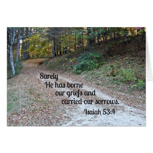 Isaiah 53:4 Surely He has borne our griefs... Cards (Front Horizontal)