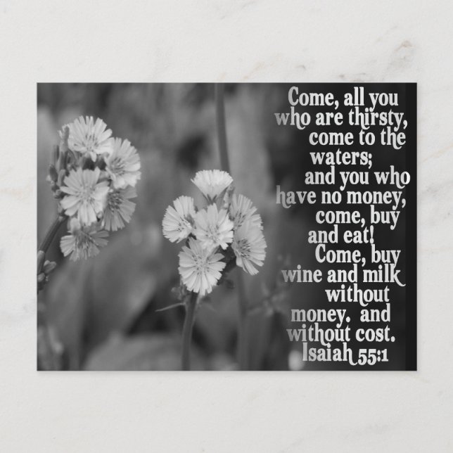 ISAIAH 55:1 BIBLE SCRIPTURE FAVORITE POSTCARD (Front)