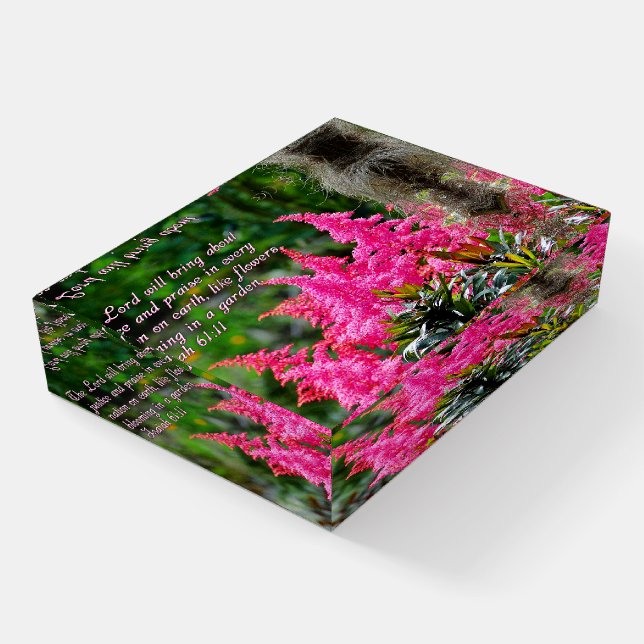 Isaiah 61:11 Pink Floral Inspirational Paperweight (Angled)