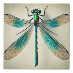Ischnura Damselfly 031124IREF250 - Watercolor Faux Canvas Print