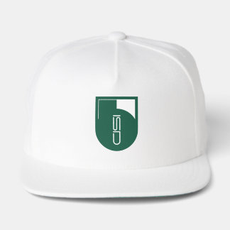 ISD Green & White Graphic Logo Snap Back Hat
