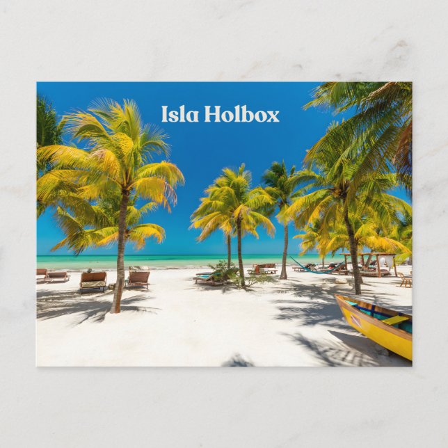 Isla Holbox Mexico Beautiful Beach with Palms  Postcard (Front)