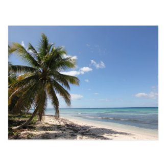 Isla Saona Caribbean Paradise Beach Postcard