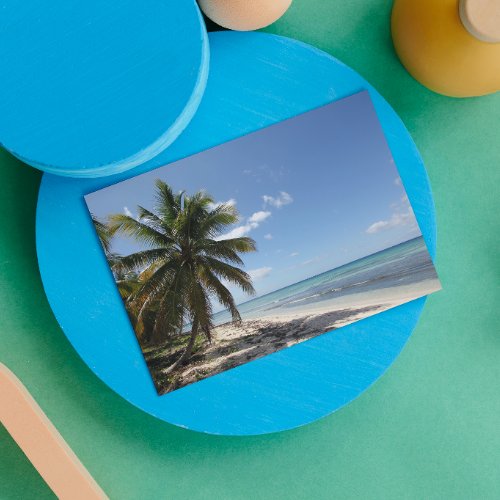 Isla Saona Caribbean Paradise Beach Postcard