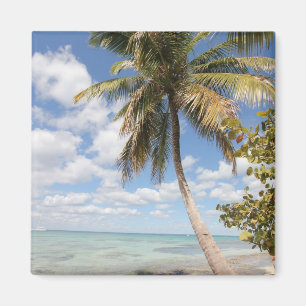 Isla Saona - Palm Tree at the Beach Magnet