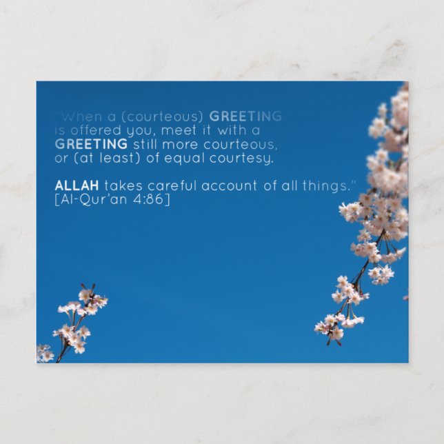 Islam islamic quran verse salaam salam blossom postcard (Front)