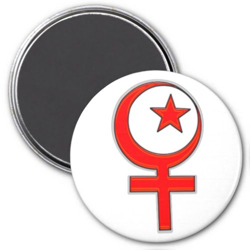 Islamic feminism magnet