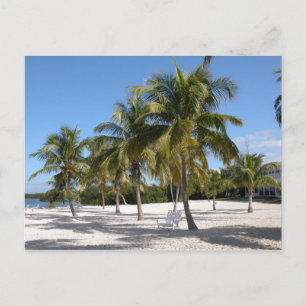 Islamorada Florida Beach Postcard