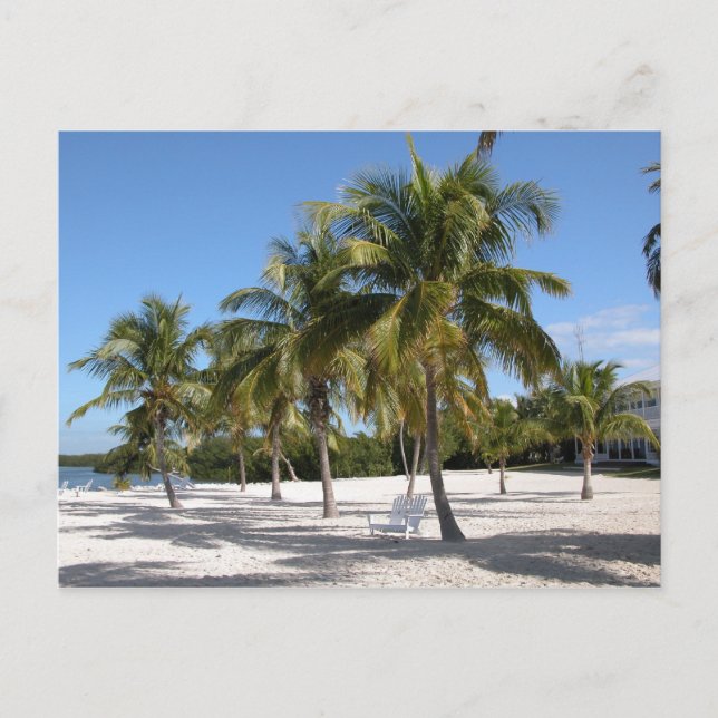 Islamorada Florida Beach Postcard (Front)